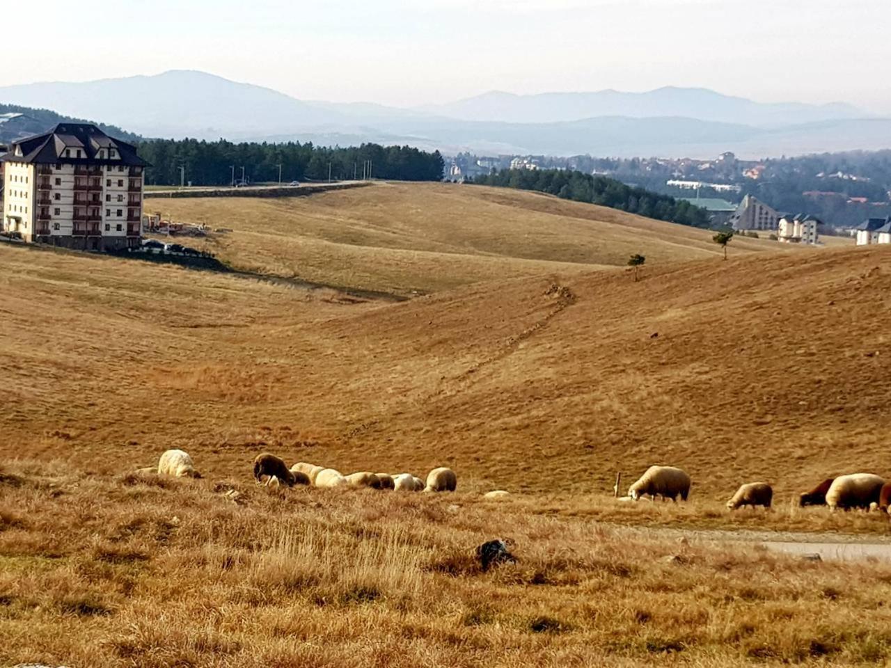 Sunset Zlatibor Hills Bed & Breakfast Exterior photo